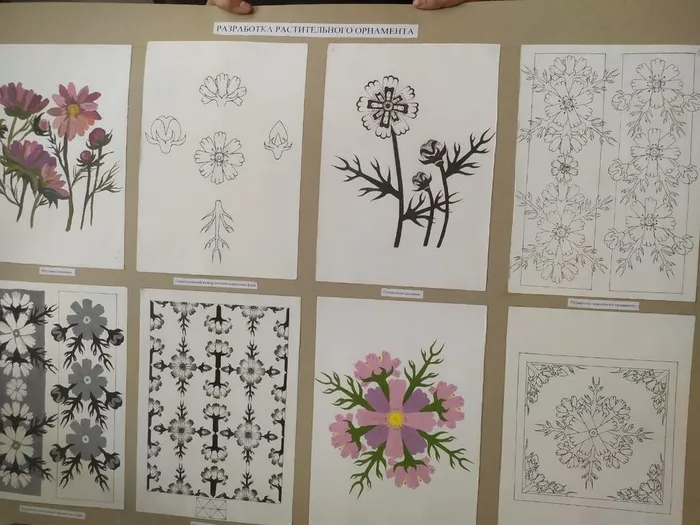 20241103-ККСевПрикл_15