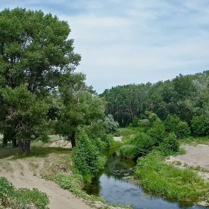 соревнования по спортивному туризму в г.Армавире