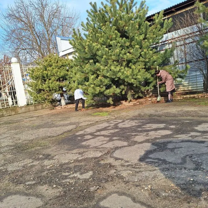 Уборка территории ЦВР