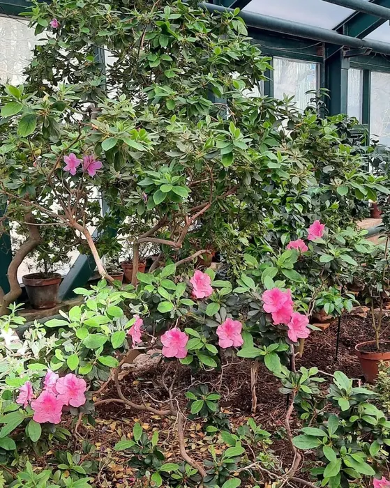 20240327-Экс1-Браво_18