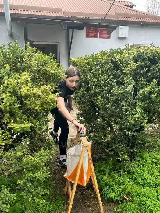 20260331-рсСО_08