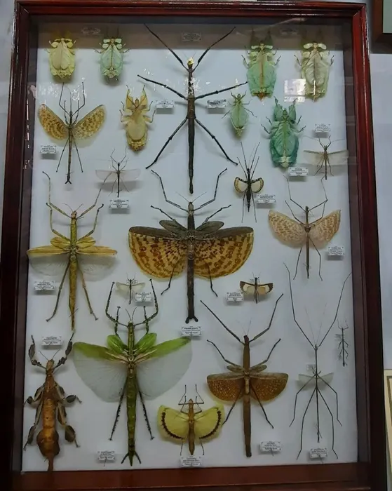 20240327-Экс1-Браво_16