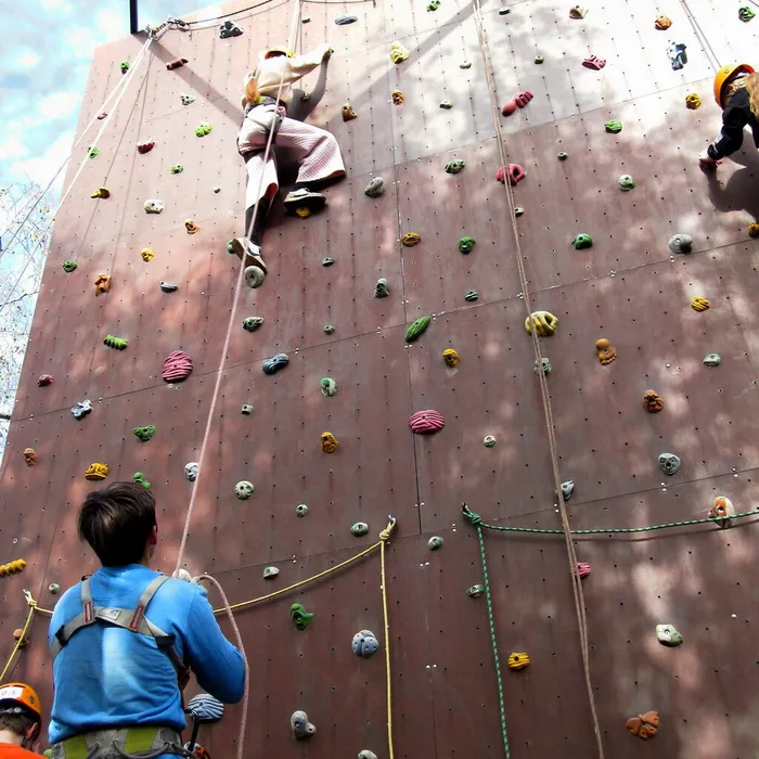 Соревнования по скалолазанию