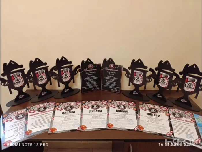 20241121-Фант_56