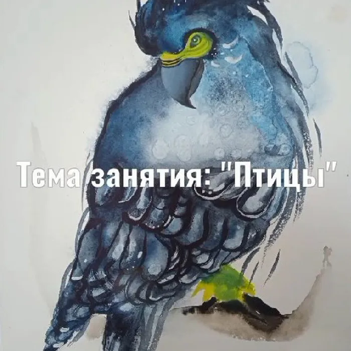 занятие на тему: «Птицы»